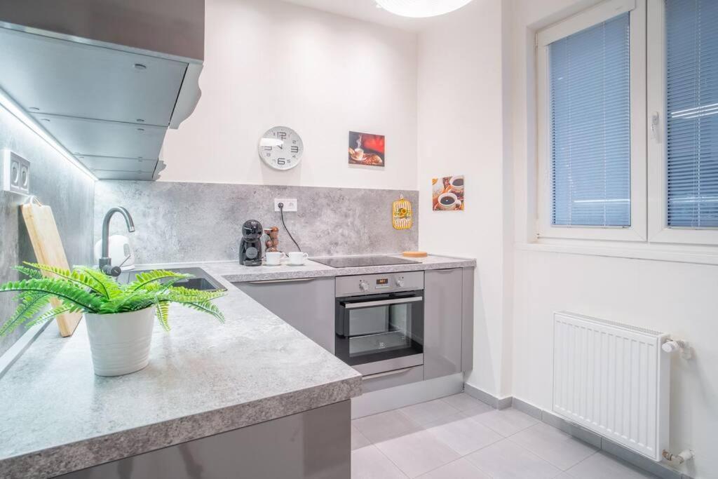 Sukromny Staromestsky Apartman V Uzasnej Lokalite/Cozy Old-Town Apartment In A Great Neighborhood Bratislava Esterno foto